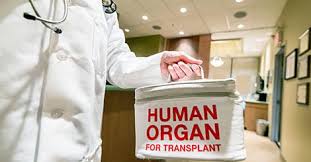 Transplant Expert Dispels Organ Donation Misconceptions