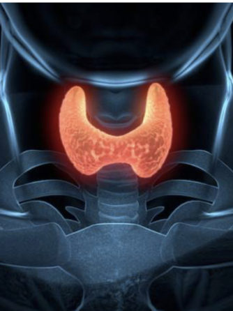 Importance of Thyroid Disease Awareness