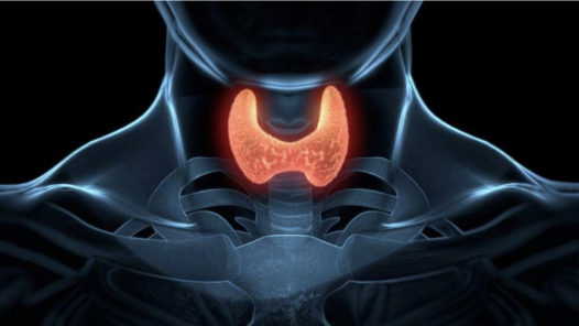 Importance of Thyroid Disease Awareness