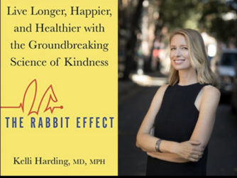 The Rabbit Effect Introduction What Are We Missing in Medicine?