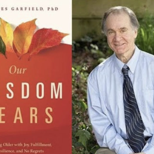 Wisdom Years